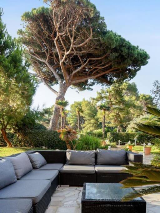 Superbe Appartement 50M De La Plage En Bord De Mer Hyères Esterno foto