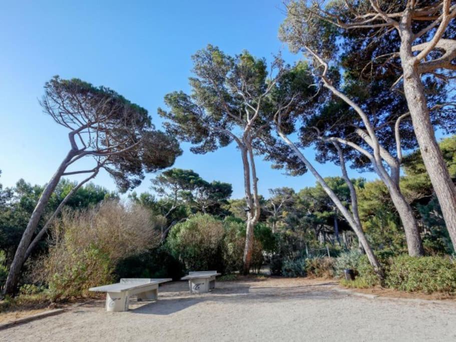 Superbe Appartement 50M De La Plage En Bord De Mer Hyères Esterno foto